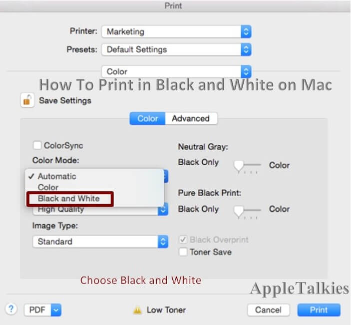 spisekammer psykologisk Tanke How to Print in Black and White on Mac - {Simple Guide} - Apple Talkies