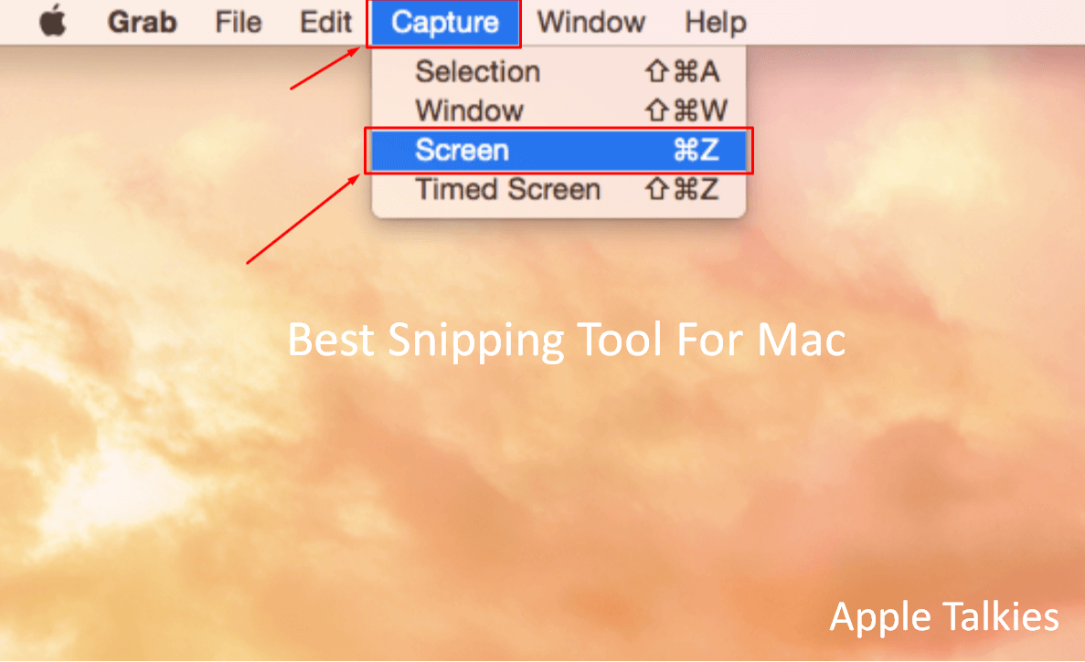 Snipping Tool for Mac 